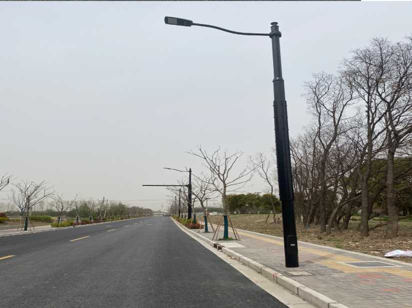 元谋县上海综合杆 太阳能路灯工程
